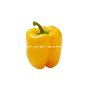 CILI BENGALA KUNING 1PCS