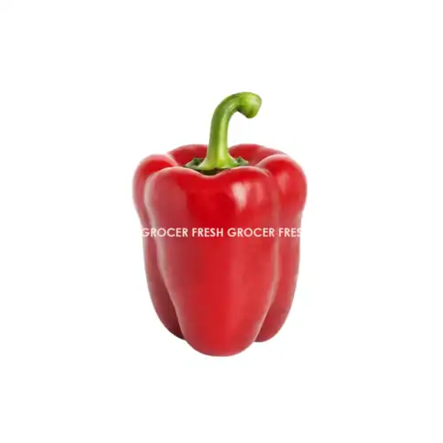 4efdd02bbf0301f45f6846a865ed6b6b.png CILI BENGALA MERAH 1PCS