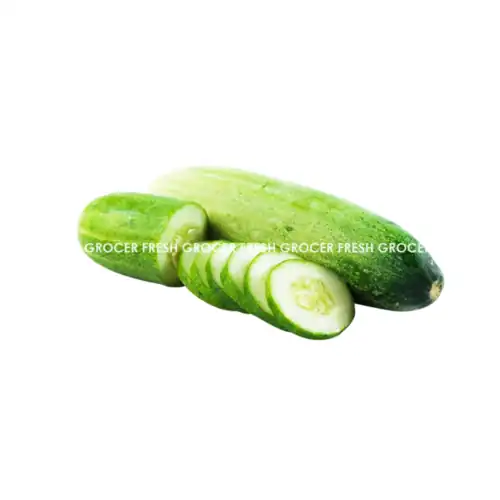 TIMUN 2PCS(500-600GM)+/-