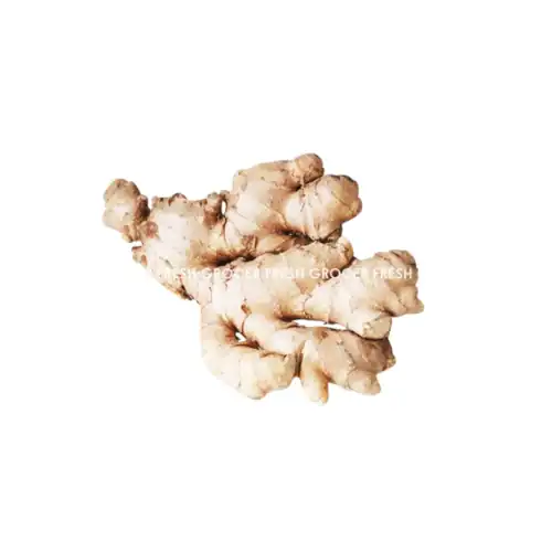 22eda39d803237cd5aac14b681ee04bf.png HALIA TUA 200GM