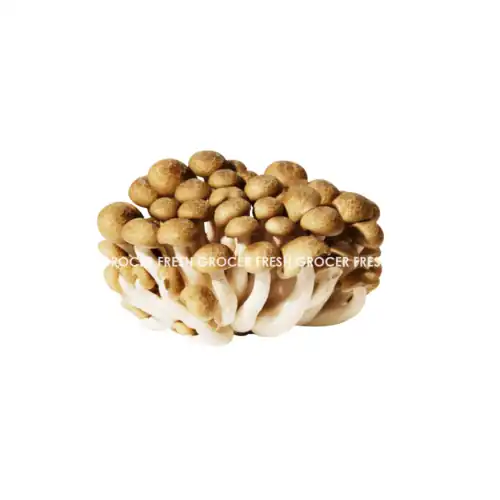 4e4786a7f6ee9463515d2cb3a70d2850.png CENDAWAN BROWN SHIMEJI 125GM/PKT