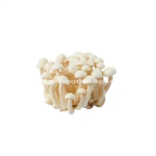 849e2b6fcad3cd42f2b8be02c8082594.png CENDAWAN WHITE SHIMEJI 125GM/PKT