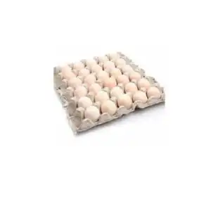 TELUR AYAM KAMPUNG S 30PCS