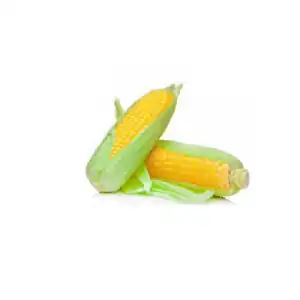 JAGUNG MANIS DOUBLE WRAP 2PCS
