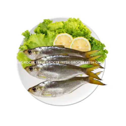 74f35cc88ca76617d2223ee2361ffe78.png IKAN GELAMA 6 EKOR (BEKU)PKT+/-